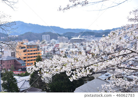 日本岐阜縣高山市春天高山市高山市區從城山公園中橋,私人住宅和盛開的櫻花盛開 日本岐阜縣高山市春天高山市高山市區從城山公園中橋,私人住宅和盛開的櫻花盛開 46062783