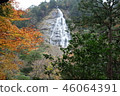 Osugi valley waterfall and colored leaves 46064391