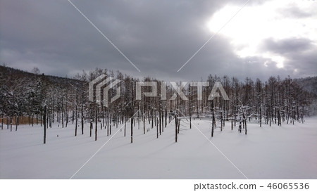 Blue pond winter Blue pond winter 46065536