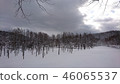 Blue pond winter 46065537