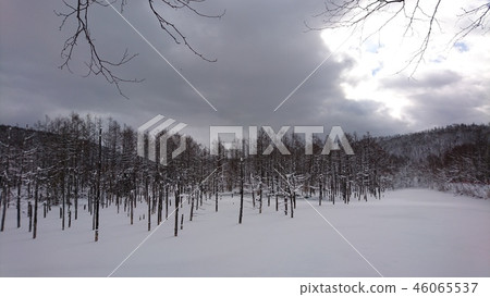 Blue pond winter Blue pond winter 46065537