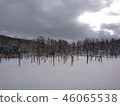 Blue pond winter 46065538