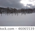 Blue pond winter 46065539