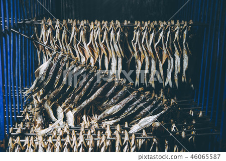 fish factory process fish factory process 46065587