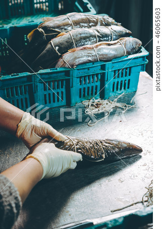 fish factory process fish factory process 46065603