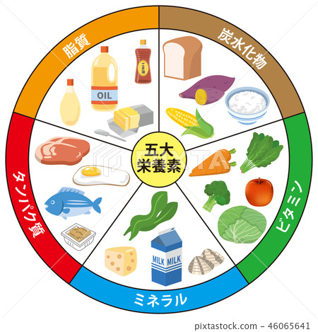 五種主要營養素的圖像說明 五種主要營養素的圖像說明 46065641