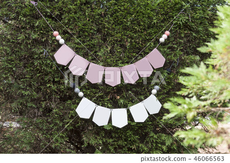 Render, Party, Forest, Park, Jeju Island 46066563