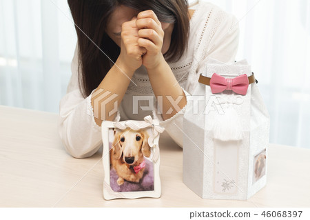 Pet loss 46068397