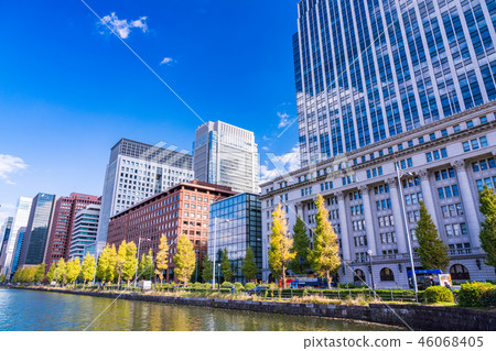 (Tokyo) Ginza lined trees of Baba toen 46068405