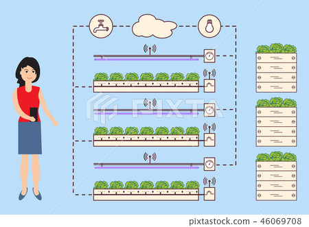 Woman controls the smart farm and agriculture Woman controls the smart farm and agriculture 46069708
