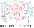 Set sea animals. Shell, cuttlefish, coral, oyster, crab, shrimp, seaweed, star, fish and octopus 46070614
