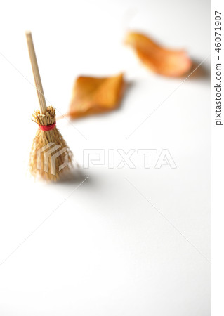 掃帚和落葉 46071907