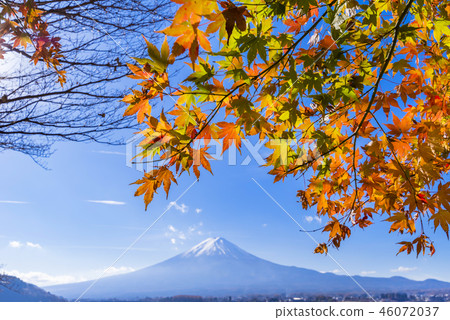 Lake Kawaguchi in autumn and Mt. Fuji and colored maple 46072037