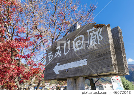 河口湖北岸Momiji走廊牌 河口湖北岸Momiji走廊牌 46072048