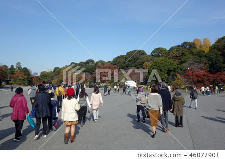Autumn public residence in the autumn of 2030 (in the vicinity of the Miyauchi government office building) 46072901