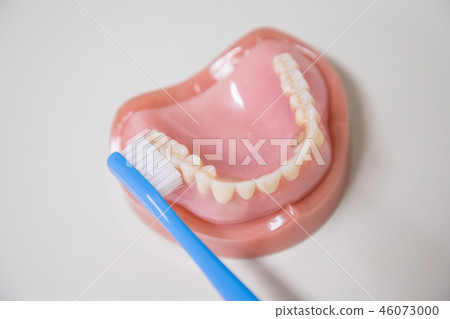 Denture exemplar Denture exemplar 46073000