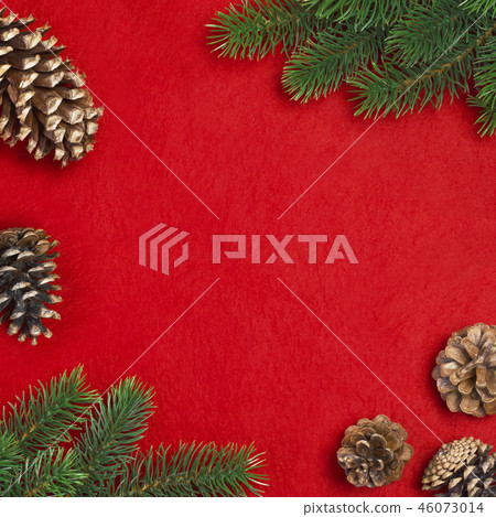 Branch of Christmas tree and cones 46073014