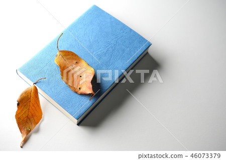 讀書的下降 46073379