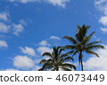 Tropical sky 46073449