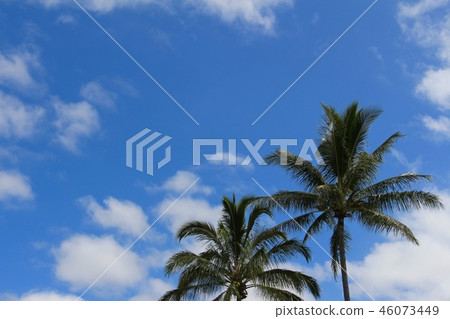 Tropical sky 46073449
