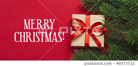 Branches of a Christmas tree Branches of a Christmas tree 46073518