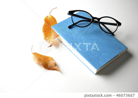 Fall of reading 46073687