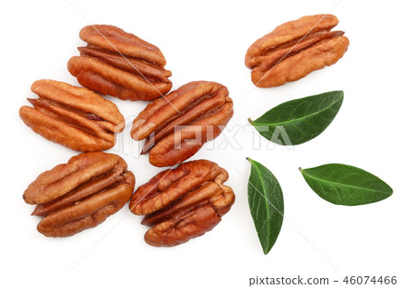 pecan nut isolated on white background. Top view. Flat lay 46074466