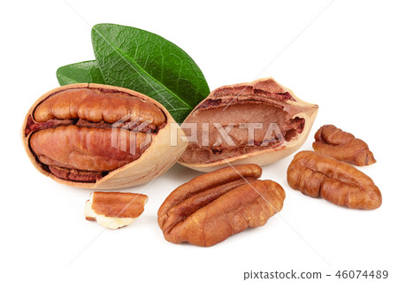 pecan nut with green leaves isolated on white background 46074489