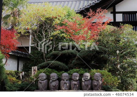 Autumn leaves and Rokuzo Autumn leaves and Rokuzo 46074534