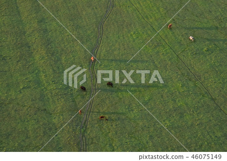 Balloon journey Balloon journey 46075149