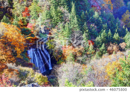 Autumn leaves of Odaki and Yokotani Gorge 46075800