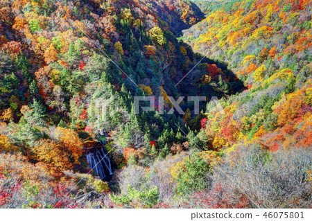 Autumn leaves of Odaki and Yokotani Gorge 46075801