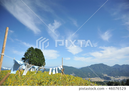 Blue sky and T-shirt Blue sky and T-shirt 46076529