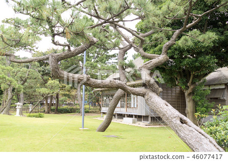 Hirofumi Ito，一個獨立的住所 46077417