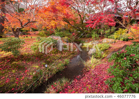 獅子花園 46077776