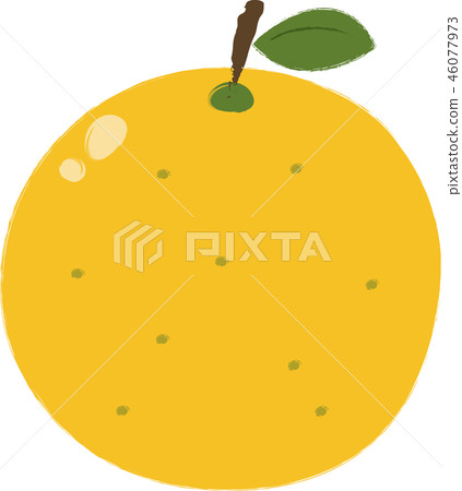 Citron Citron 46077973