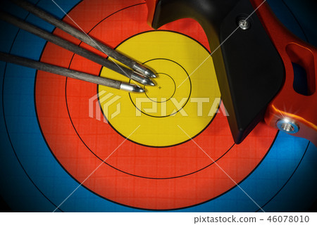 Target with Bow and Arrows - Archery Sport 46078010