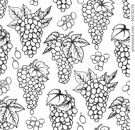 Graphic seamless pattern of vector grapes bunches 46078256
