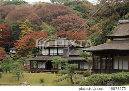 Late autumn of Yokohama Sanphen Garden 46078275
