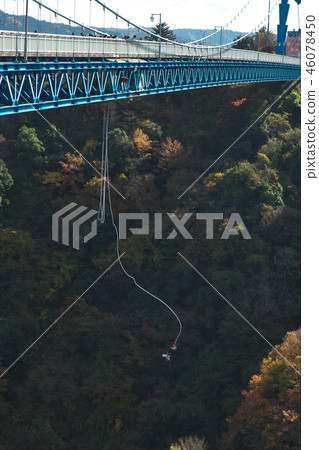 Bungee jump from suspension bridge 46078450