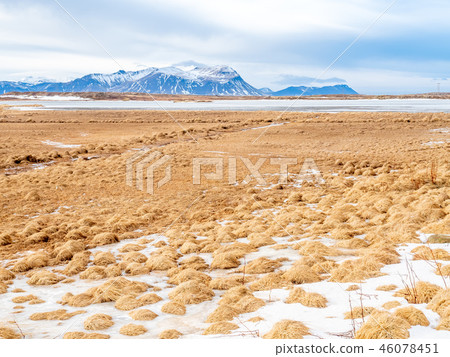Field with snow in winter season, Iceland 46078451