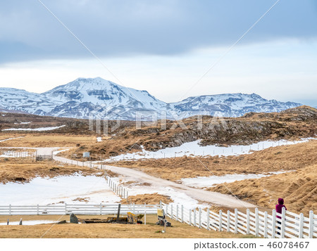 Field with snow in winter season, Iceland 46078467