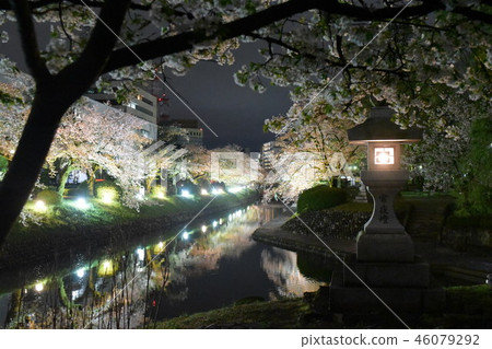 Cherry blossoms in Matsukawa Cherry blossoms in Matsukawa 46079292