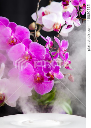 Humidifier in dark room with beautiful flowers 46080515
