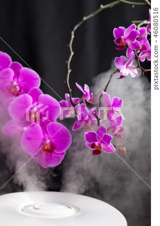 Humidifier in dark room with beautiful flowers 46080516