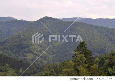 Mountains covered with green trees 46080876