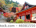 Tanshin Shrine Shinto shrine 46081550