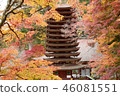 Tanabe Shrine of Amami Amami 46081551