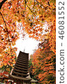 Shirayama Shrine of autumn leaves 46081552