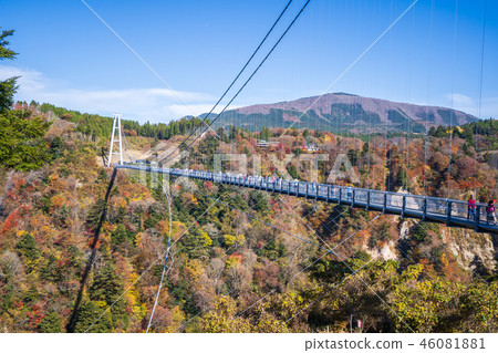 Japan Kyushu Suspension bridge Kuju Yumedai Suspension bridge Suspension bridge Suspension bridge suspension bridge 46081881